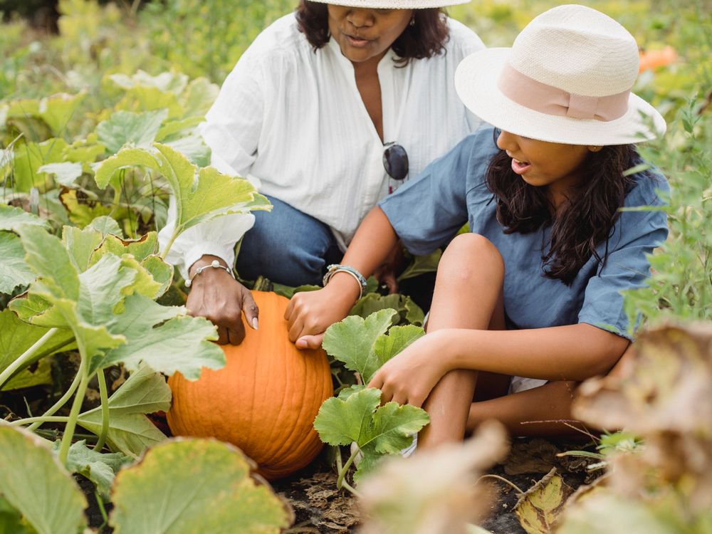 Fall leaves and pumpkins