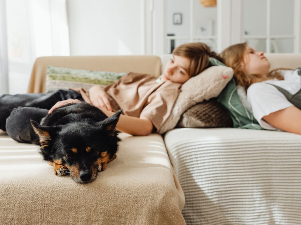 Friends and pets