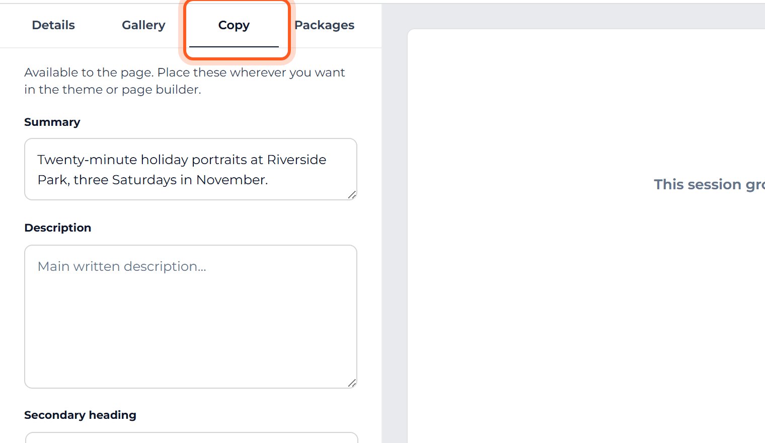 Press the Copy tab, then write one or two sentences in Summary.