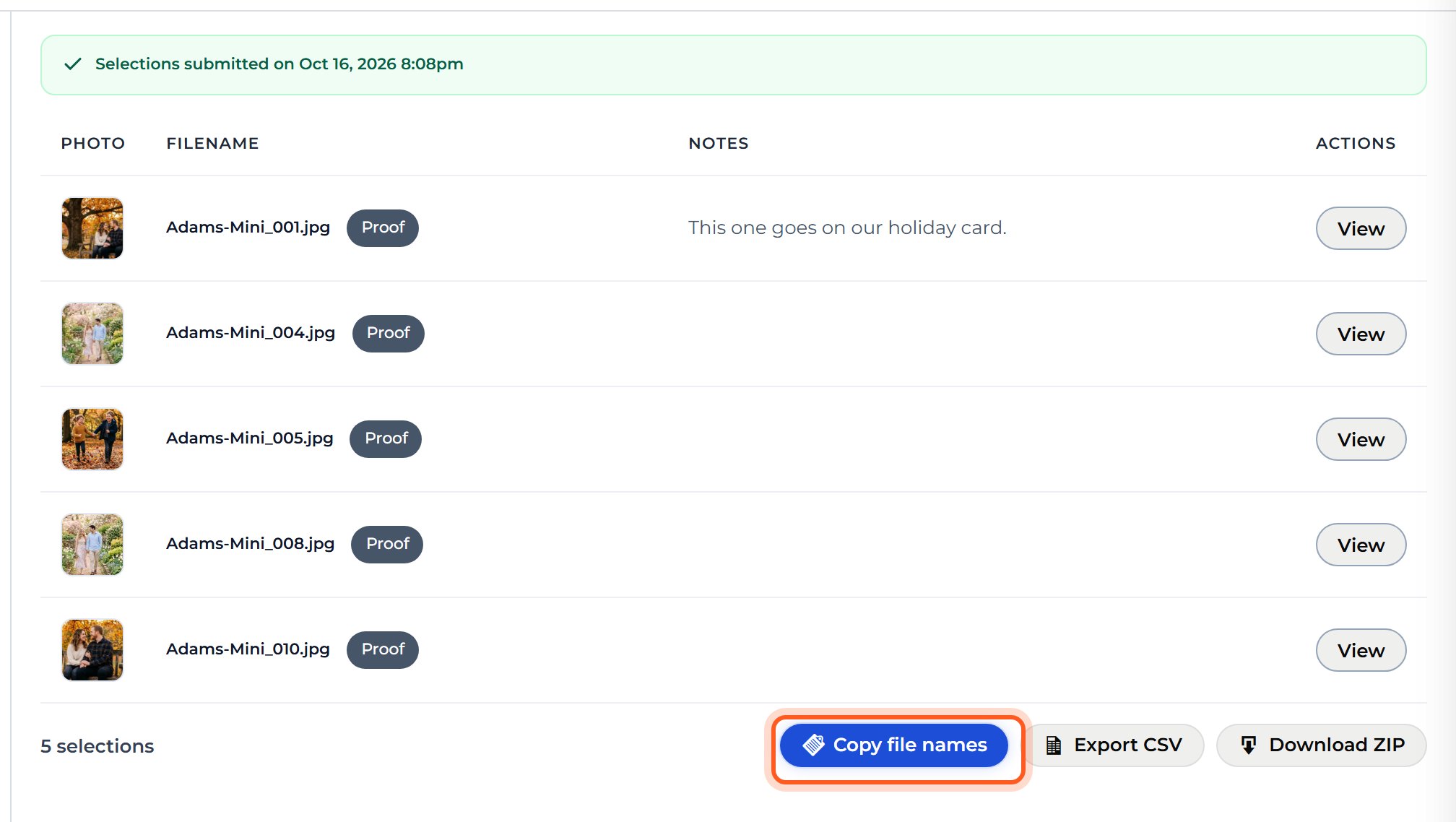 Your client's picks and notes are listed here. Press Copy file names to find them in your editor.