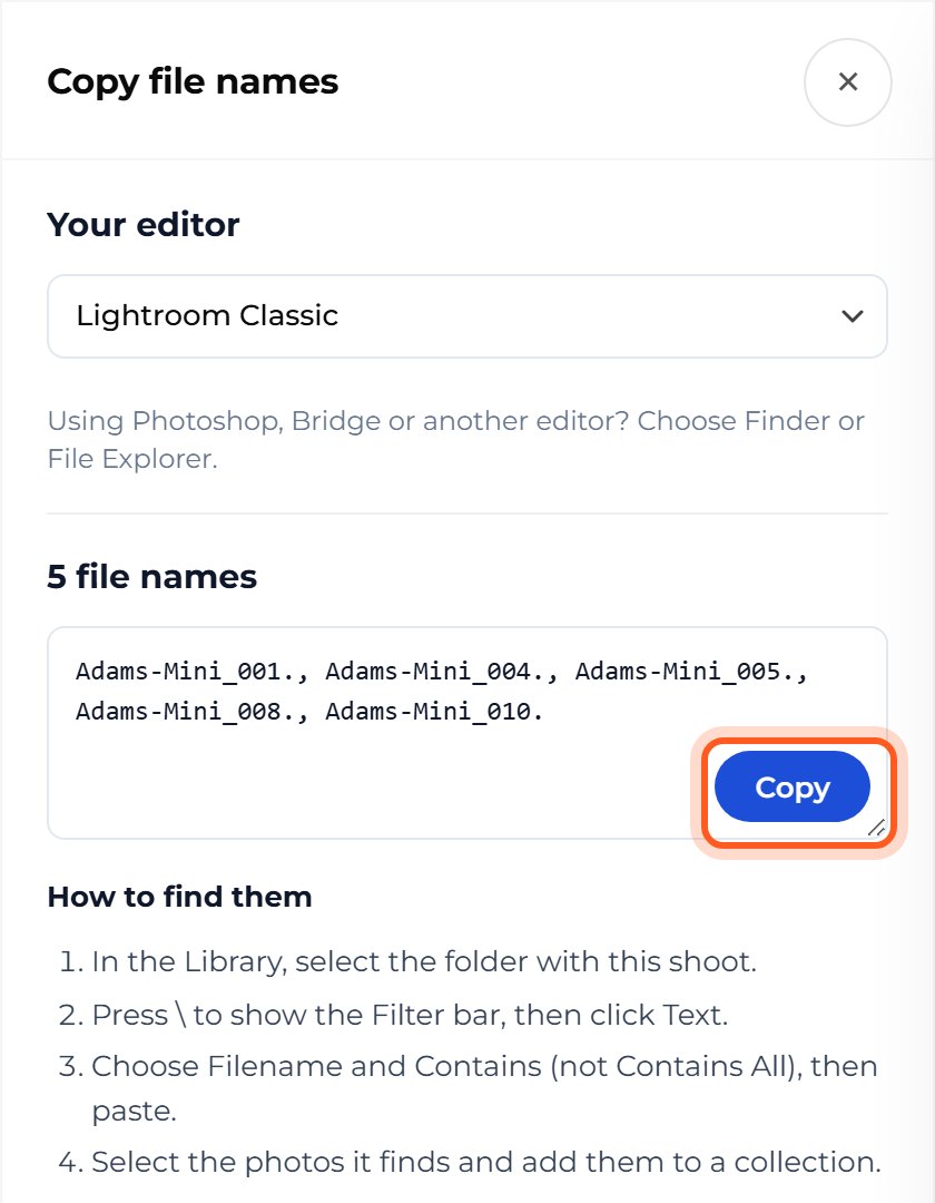 Choose your editor, press Copy, and paste the names into your editor's search.