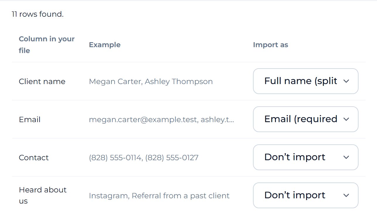 Mankai lists every column in your file, with examples. It has already matched Client name and Email.
