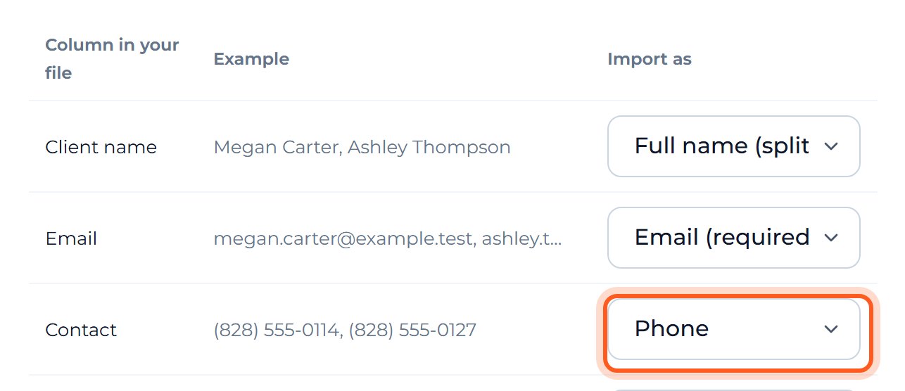 Open the Import as list beside Contact and choose Phone.