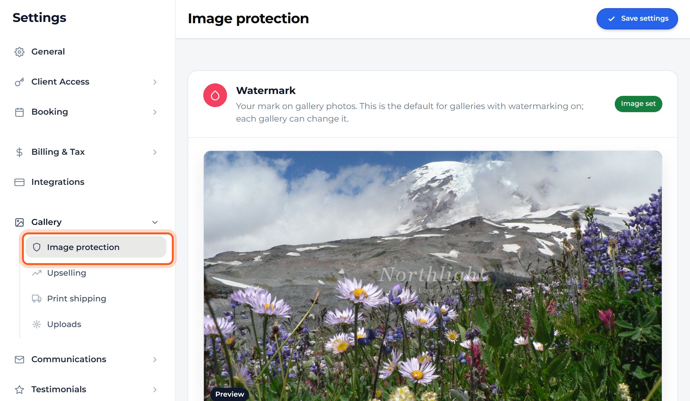 Press Gallery, then Image protection. Your watermark and copy protection are here, with upselling, print shipping and uploads beside it.